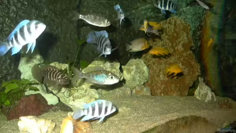 Loch Gestein von Thomas Kowollik (7)