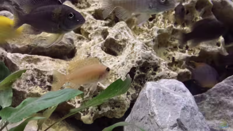 Loch und Granitgestein von Thomas Riemenschneider (14)