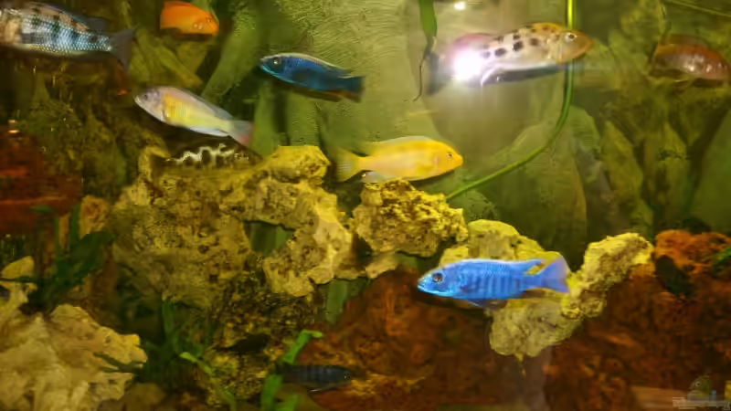 Loch und Lavagestein von Hollywood (9)