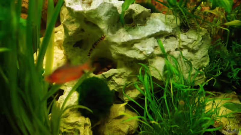 Lochgestein: Spielplatz der Dornaugen von Digibastler (3)