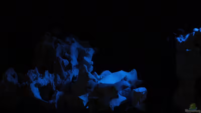 Lochgestein bei Nacht von moiko (3)