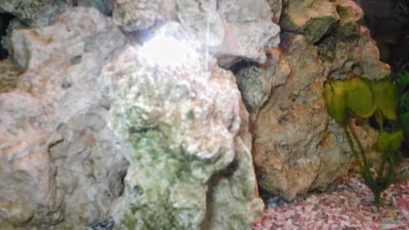 Lochgestein ca 25g von Ulrich Rothärmel (6)