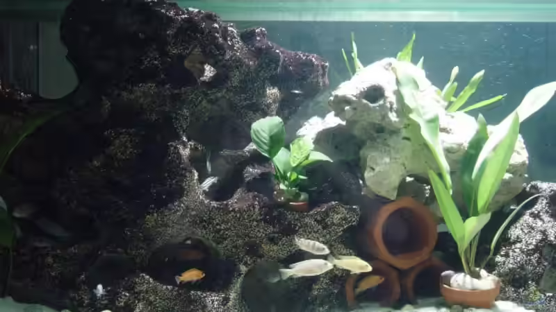 Lochgestein groß / Tonröhren von Robert Schlecht (13)