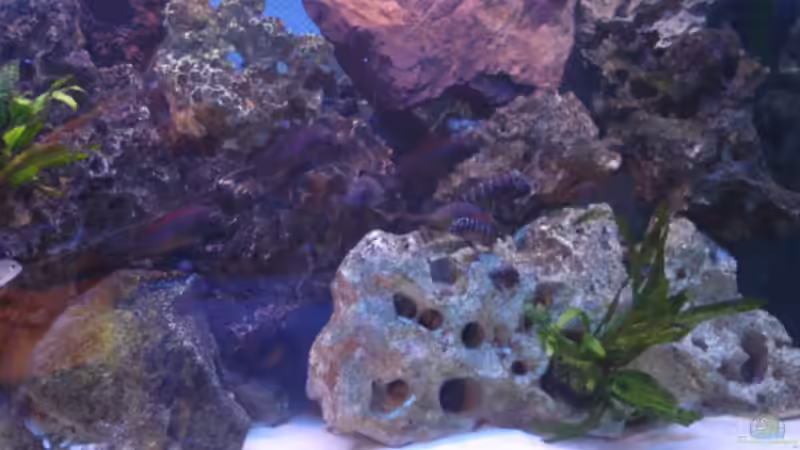 Lochgestein und Felsen von Andre Röttelbach (6)