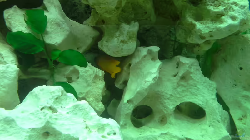 Lochgestein von AndreLeipzig (11)