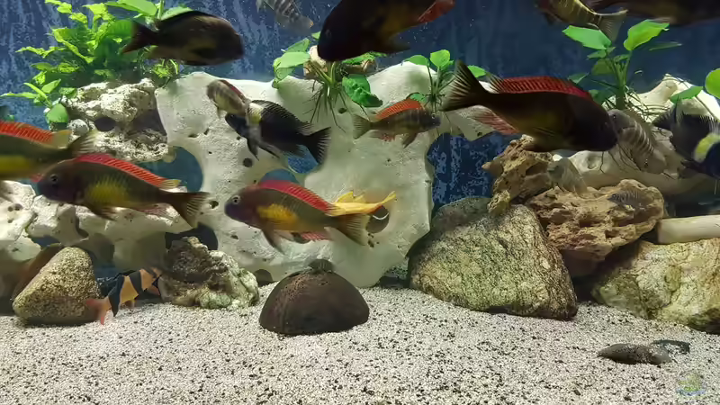 Lochgestein von Bernhard Fritsch (8)