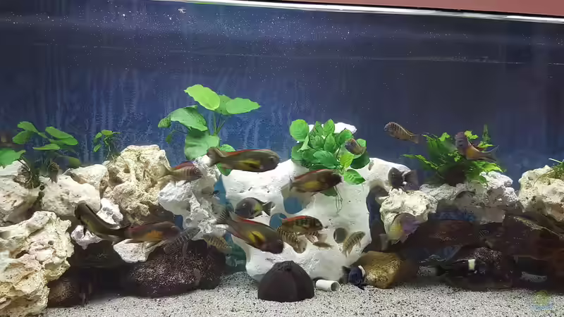 Lochgestein von Bernhard Fritsch (9)