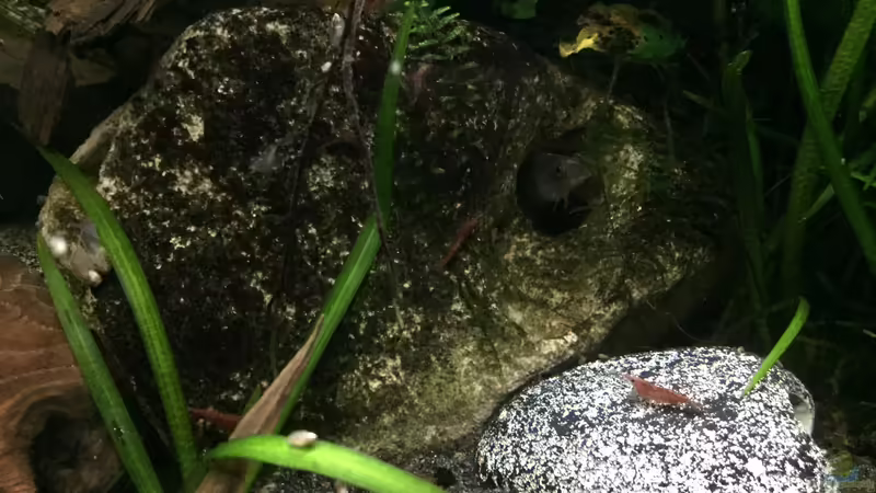 Lochgestein von Danny (18)