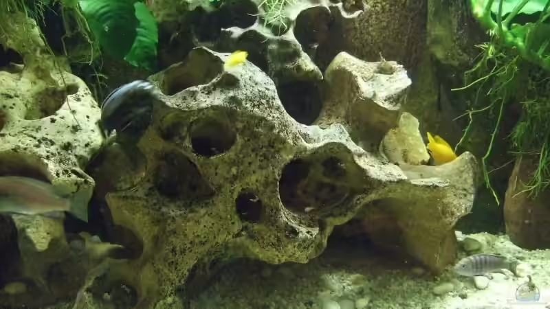 Lochgestein von Frank Seifarth (8)