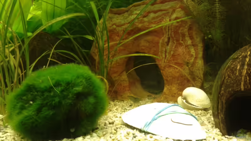 Lochgestein von Jessi & Daniel (9)