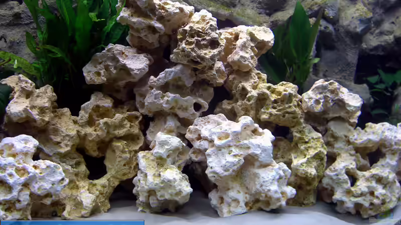 Lochgestein von Markus Hütte (12)