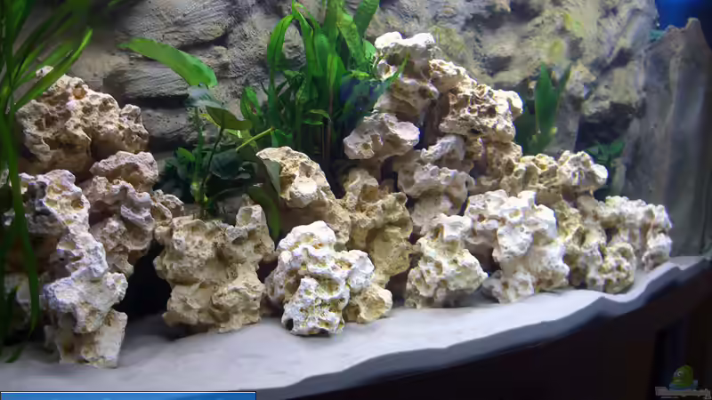 Lochgestein von Markus Hütte (13)