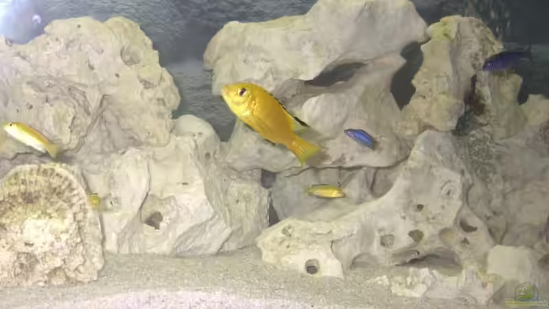 Lochgestein von Martin Neumann (3)