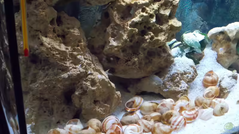 Lochgestein von matze81 (11)