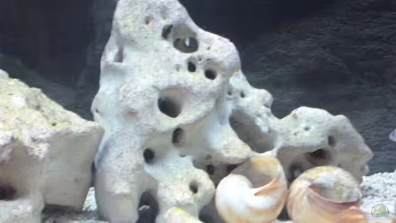 Lochgestein von Max94 (3)