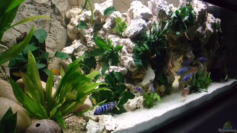 Lochgestein von Simon Dolch (4)