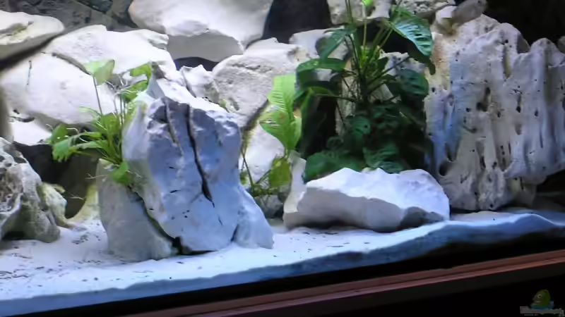 Lochgestein von Tiger81 (6)