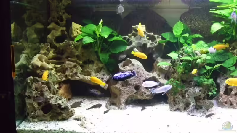 LochgesteinMärz2009 von Frank Seifarth (4)