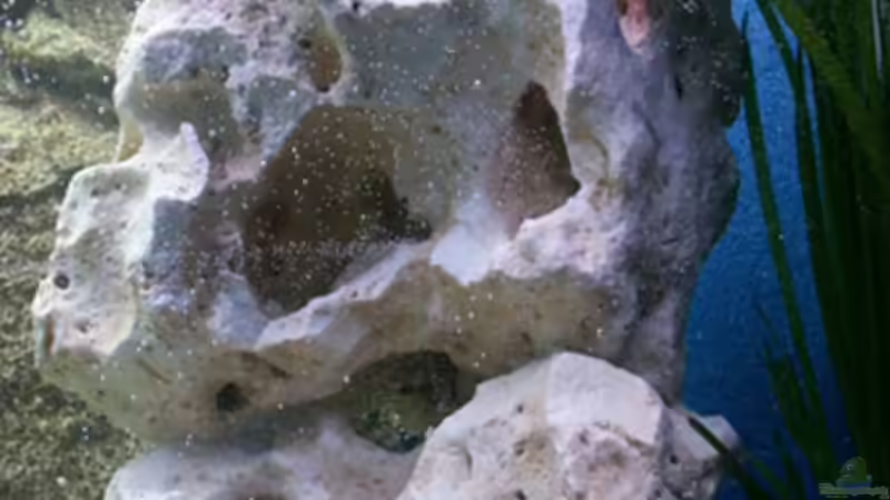 Lochstein, Hmf im Hintergrund von Paul Hoffmann (8)