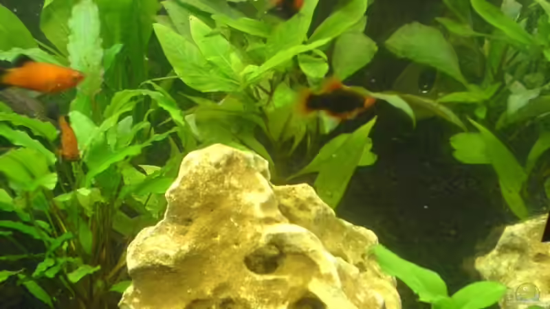 Lochstein von Cathrin Krause (16)