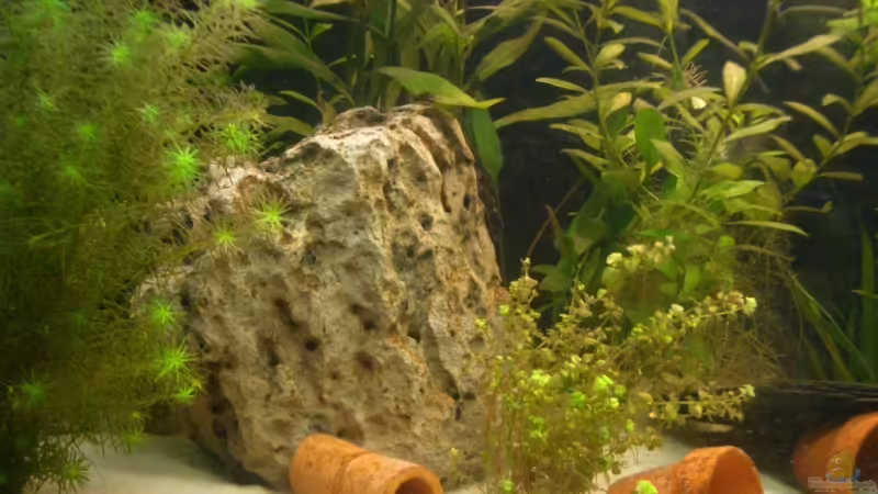 Lochstein von Juergen Keimeleder (2)