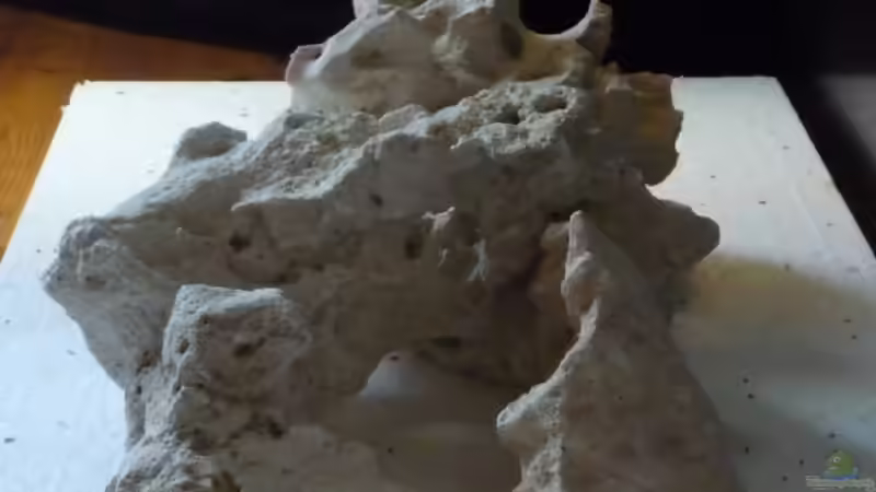 Lochstein wird zum Felsen von DER YBBSTALER (8)