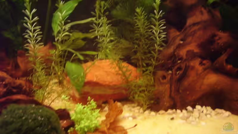 Lochstein wurde durch hiesigen Stein ersetzt von Sandra Stoffels (12)