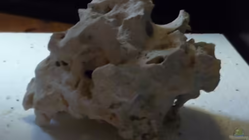 Lochstein1 von DER YBBSTALER (6)