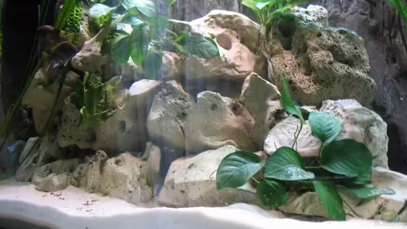 Lochsteinaufbauten von Ricardo Kisker (9)