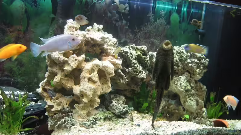 Lochsteinwand von mona (5)