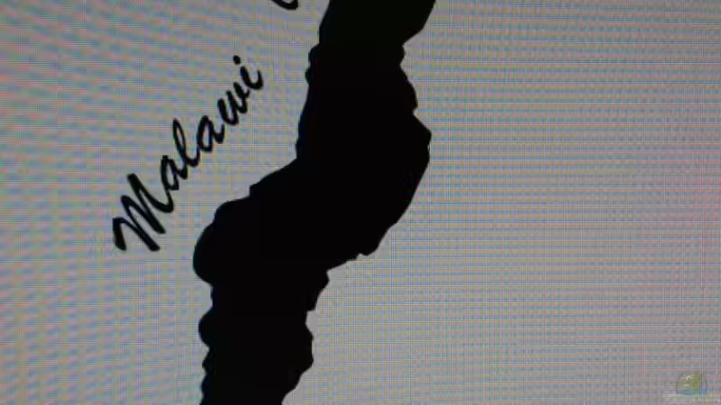 Logo und Aufkleber für Mein Becken von Mondamin (18)