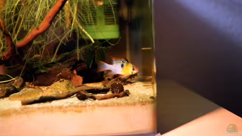 Look outside :D von Martin Ihde (34)