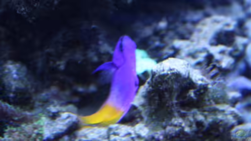 loreto 13.09.2009 von Stephan Ascher (57)