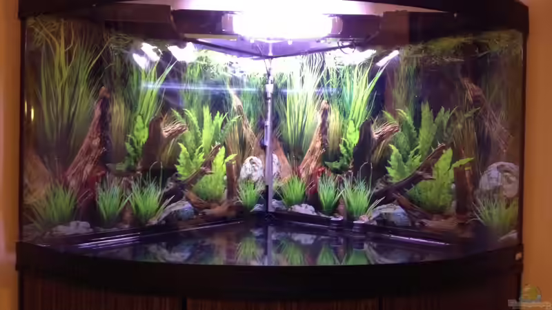 los gehts ;) von Nebukadnezar2k (2)