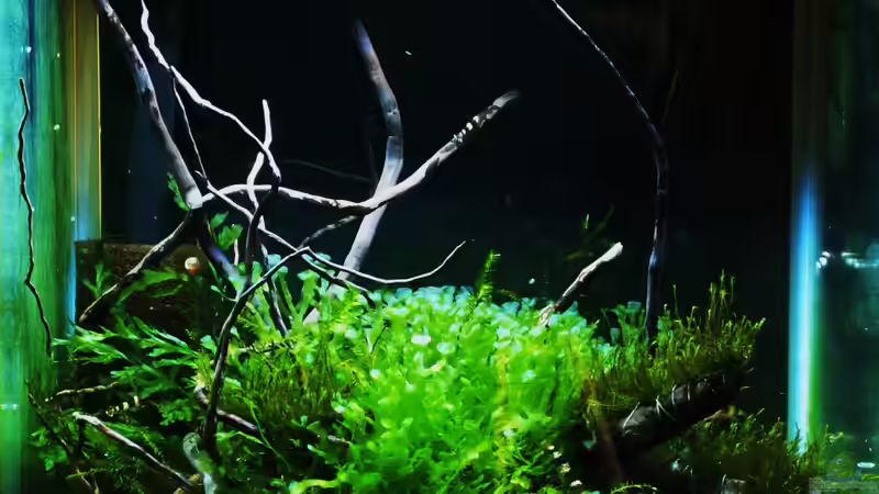 Lost World von Pelzwanze (1)