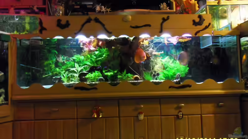 lotus im 500er von Ulrich Sauerhering (8)