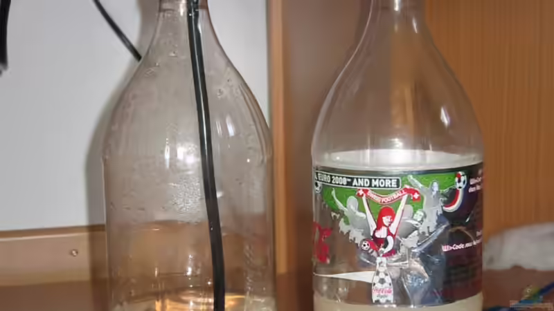 *Low tech* CO2 Anlage von Frances (9)