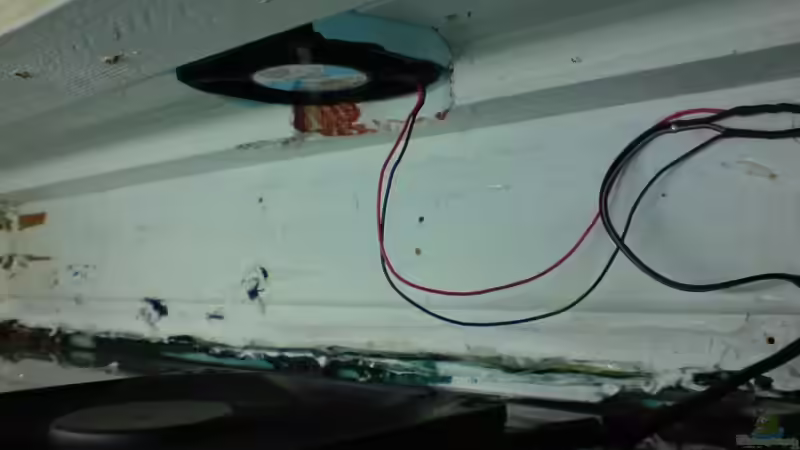 Lüfter in der Abdeckscheibe und Lüfter in der Abdeckung von timme (44)