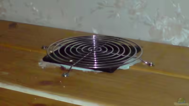 Lüfter in der Abdeckung (Der Lochauschnitt ist größer, da ursprünglich ein anderer Lüfter geplant war. Die Ritzen habe ich mit Styrodur zugestopft, der Optik wegen, muß ich da aber nochmal ran.) von timme (41)