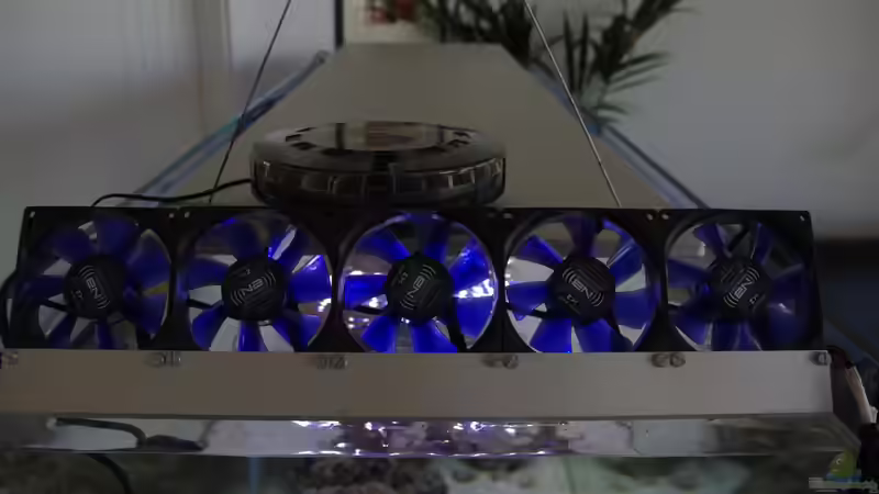 Lüfter von Dominik N. (14)