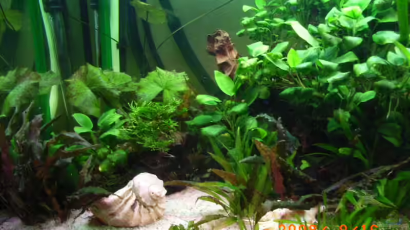 lünke Seite von Susann Czaika (4)