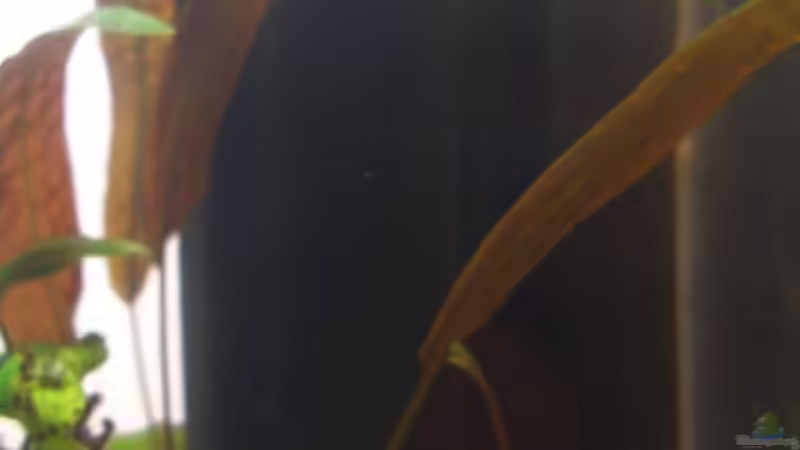 Luftbetriebener Innenfilter von Daniel (8)