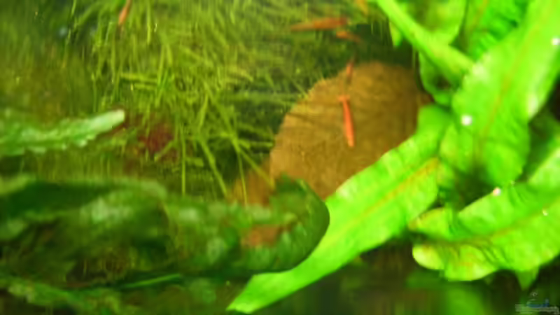 ´Luftbild´ von serra007 (3)