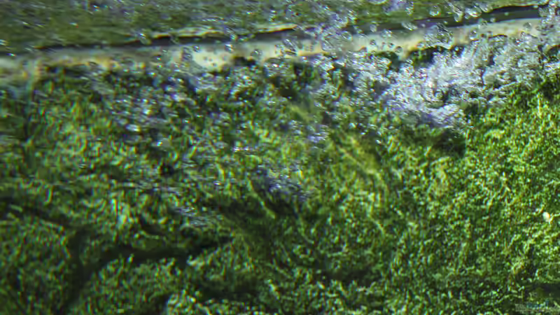 Lufteintrag durch Schnellfilterrücklauf von Dirkan (19)