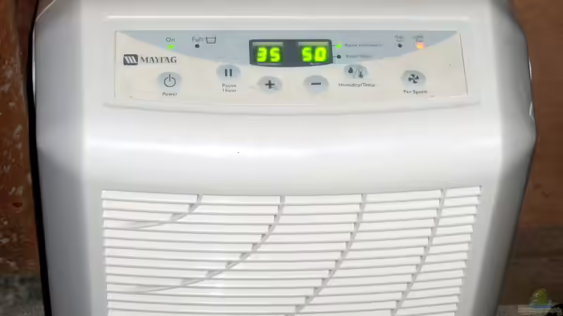 Luftentfeuchter im Aquaristik- und Terrarienbereich: So schützen Sie Ihr Zuhause und Ihre Tiere