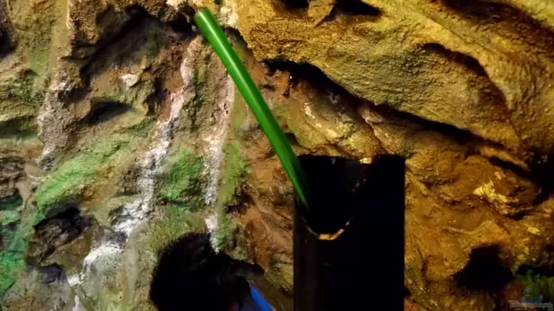 Luftheber Einlauf von snooze (50)