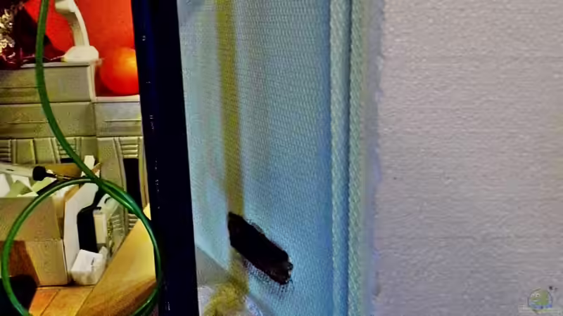 Luftheber ist jetzt an Ort und Stelle von snooze (52)