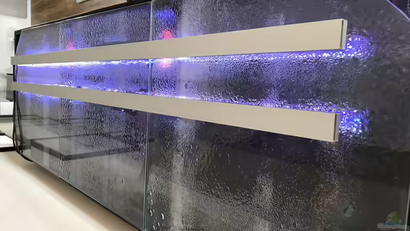 Lumlight Light RGB LED von CJ (14)