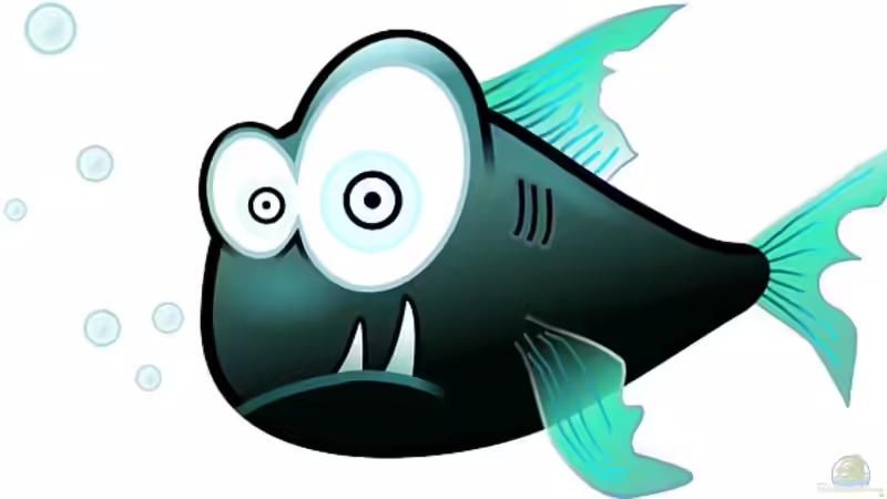 Lustige, authentische Spiele mit Fischen im Mittelpunkt