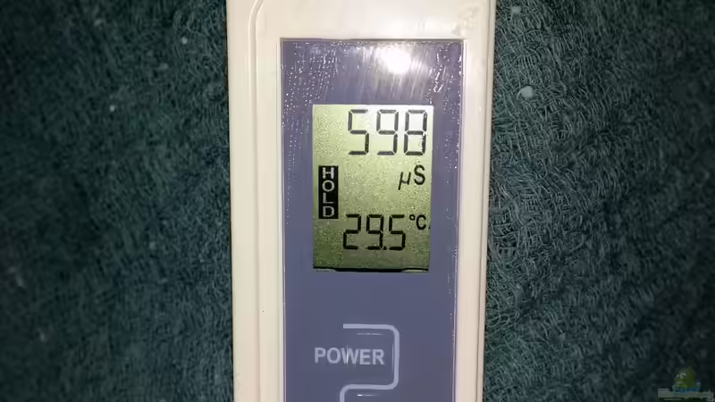 LW von Pirarucu (18)